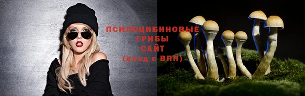 гидропоника Осинники