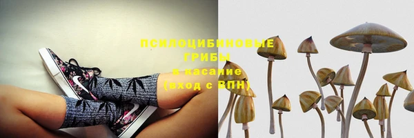 гидропоника Осинники
