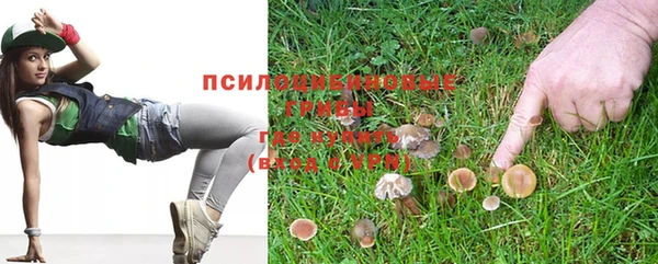 каннабис Осташков