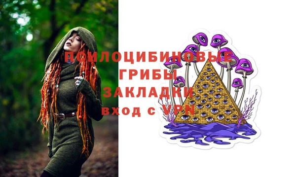 гидропоника Осинники